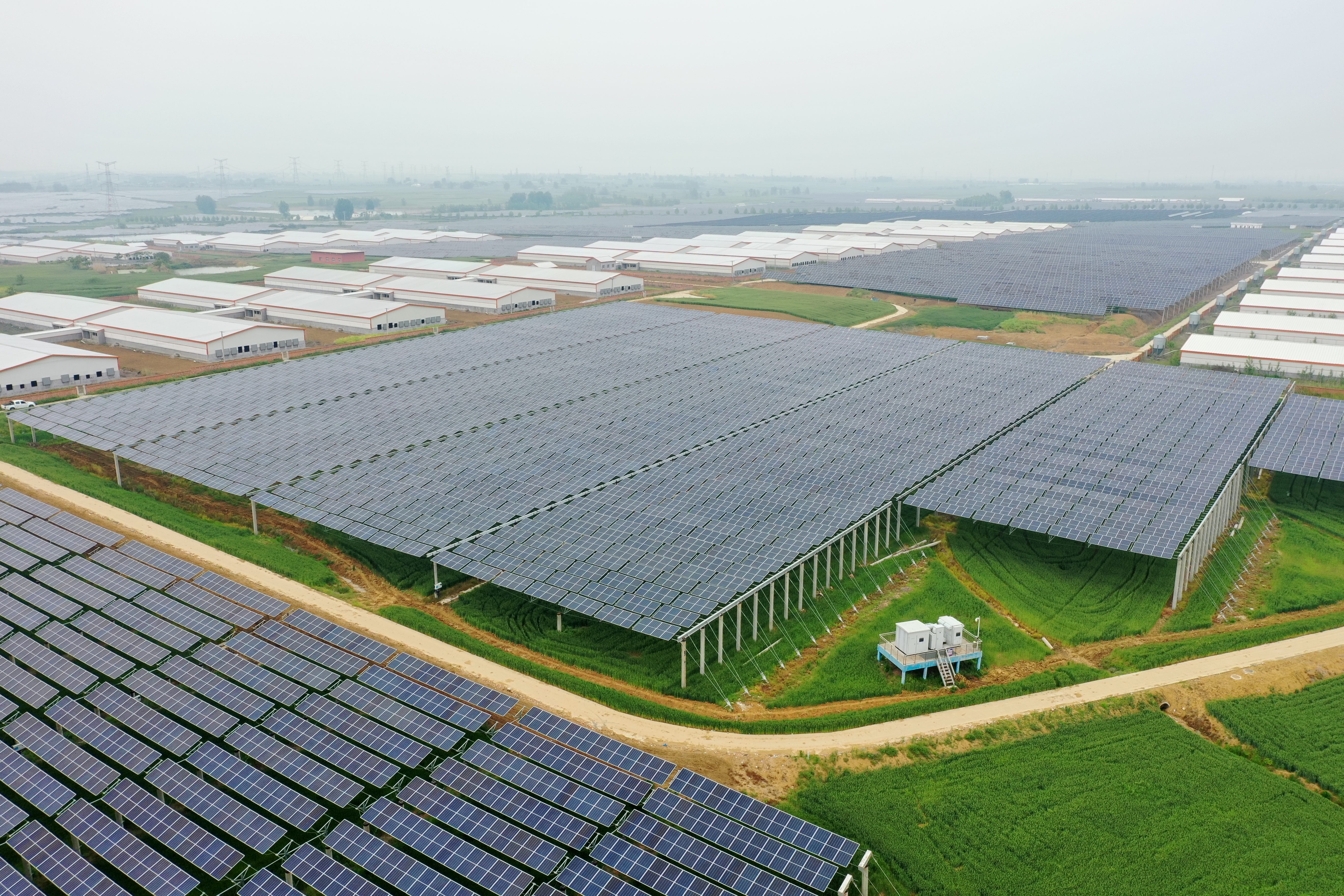 三峡泗洪牧光互补100MW光伏电站