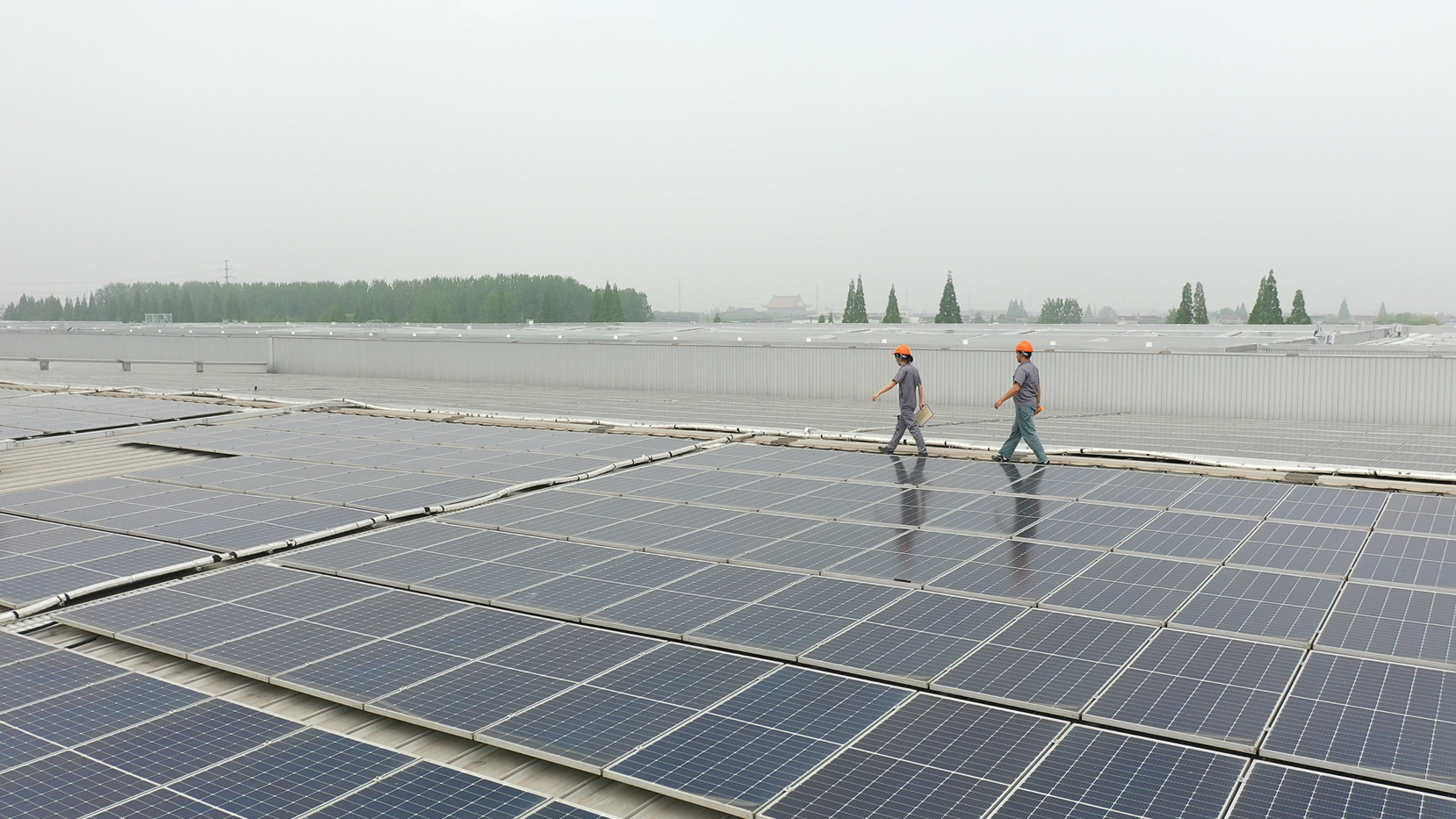 微信图片_2026-05-28_172815_462.png