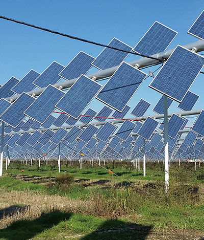 羲和飞翼农光互补技术